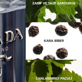 Prada L'Homme Eau De Toilette Spray for Men - 3.4 oz (100ml) - Amber Iris Fragrance