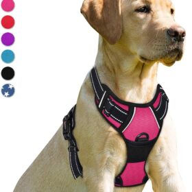 BARKBAY No-Pull Dog Harness with Front Clip & Handle – Heavy Duty Reflective Adjustable Vest for Large Dogs (Pink, Large)
