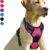 BARKBAY No-Pull Dog Harness with Front Clip & Handle – Heavy Duty Reflective Adjustable Vest for Large Dogs (Pink, Large)