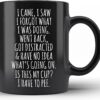 I Came, I Saw, I Forgot What I Was Doing - 11oz Funny Ceramic Coffee Mug for Seniors, Grandparents & Retirement Gifts | Dishwasher & Microwave Safe
