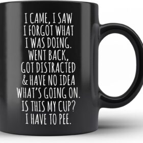 I Came, I Saw, I Forgot What I Was Doing - 11oz Funny Ceramic Coffee Mug for Seniors, Grandparents & Retirement Gifts | Dishwasher & Microwave Safe