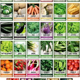 Survival Vegetable Seed Vault: Over 16,000+ Non-GMO Heirloom Seeds for 35 Varieties | Emergency Bugout & Home Gardening Kit with Plant Markers