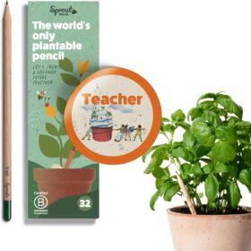 SproutWorld Teacher's Edition Plantable Pencils – 32-Pack Eco-Friendly HB Graphite Wood Pencils with Herb & Flower Seeds | Sustainable Biodegradable Stationery Gift for Educators & Gardening