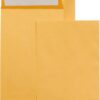 Amazon Basics 6x9 Inch Self-Seal Catalog Envelopes - Peel & Seal Closure, Brown Kraft, 100 Count