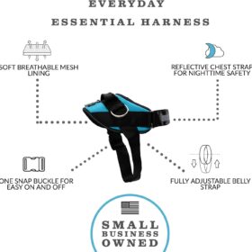 ShawnCo Essential No-Pull Dog Harness – 3-Leash-Clip Reflective Vest with Comfort Padded Mesh for Walking & Training – Oceanic Blue