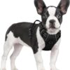 rabbitgoo No-Pull Dog Harness – Adjustable Soft Padding with Dual Leash Clips, Easy Control Handle & Safety Reflective Strips – Classic Black Vest for Small Dogs (Size Small)