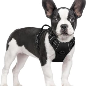 rabbitgoo No-Pull Dog Harness – Adjustable Soft Padding with Dual Leash Clips, Easy Control Handle & Safety Reflective Strips – Classic Black Vest for Small Dogs (Size Small)