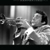 Herb Alpert: The Trumpet Collection - Note-for-Note Transcriptions of 18 Jazz Classics | Hal Leonard Artist Series