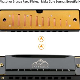 EastRock Professional C Key Harmonica – 10 Hole Diatonic Blues Mouth Organ with Protective Case for Beginners, Students & Adults