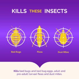 Hot Shot Bed Bug Killer Spray with Egg Kill, 32oz - Ready-to-Use Indoor Insecticide for Bed Bugs, Fleas, and Dust Mites