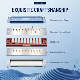 East top 10 Hole Diatonic Harmonica in Key of C - Professional Blues Mouth Organ with Blue Case, Phosphor Bronze Reeds for Beginners, Students & Musicians