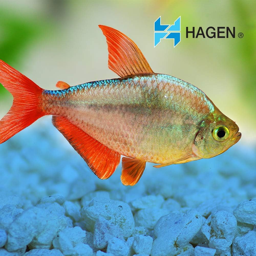 Marina Blue Aquarium Gravel – 1 lb. Epoxy-Coated Decorative Substrate for Fish Tanks