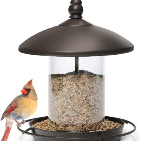 Chew-Proof Metal Bird Feeder for Outdoors – Squirrel Resistant Hanging Wild Bird Seed Station with Easy Clean Base, Bronze