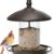 Chew-Proof Metal Bird Feeder for Outdoors – Squirrel Resistant Hanging Wild Bird Seed Station with Easy Clean Base, Bronze