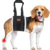 Adjustable Rear Leg Dog Lift Harness – Support Sling for Large Dogs with Arthritis, Hip Dysplasia, or Post-Surgery Recovery (Medium, Black)