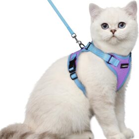 rabbitgoo Cat Harness and Leash Set - Escape Proof Adjustable Kitten Vest Jacket with Reflective Strips for Outdoor Walking (XS, Purple & Blue)