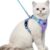 rabbitgoo Cat Harness and Leash Set - Escape Proof Adjustable Kitten Vest Jacket with Reflective Strips for Outdoor Walking (XS, Purple & Blue)