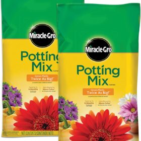 Miracle-Gro Potting Mix (2-Pack, 32 qt. Total) - Premium Soil for Indoor & Outdoor Container Plants, Flowers, Vegetables & Herbs - Feeds Up to 6 Months