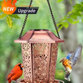 Solar Metal Bird Feeder with Lantern Light - Heavy Duty, Chew-Proof & Weatherproof Wild Bird Feeder for Outdoors, 2.4 lb Capacity Garden Decoration