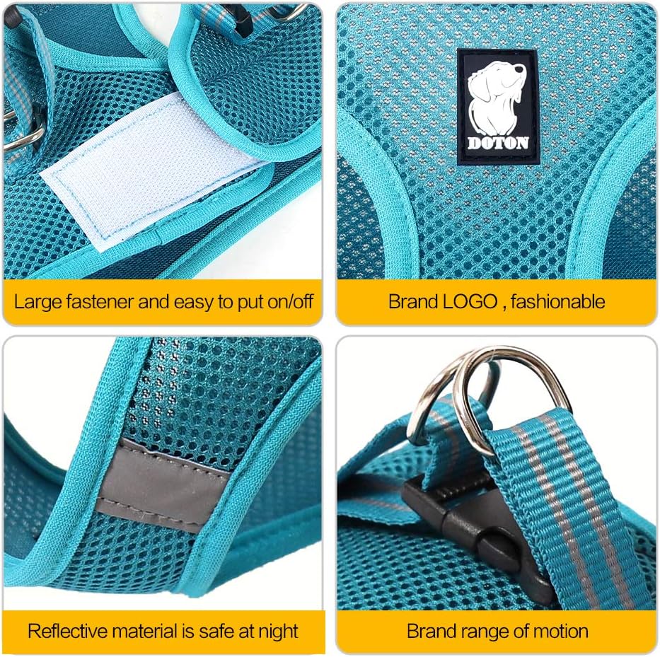 HEYWEAN Ultra-Light Escape Proof Cat Harness and Leash Set – Soft Mesh Walking Jacket Vest with Comfort Cushioning for Kittens, Cats & Small Puppies