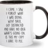 I Came I Saw I Forgot What I Was Doing Coffee Mug - Funny Ceramic Gift for Seniors, Men & Women - 11 oz Novelty Cup for Grandma, Grandpa, Mom & Dad - Best Gag Present for Birthdays, Mothers Day & Fathers Day