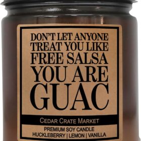 Funny Friendship Candle Gift for Women - 'Don't Let Anyone Treat You Like Free Salsa' - Huckleberry Vanilla Scented Soy Wax | Best Friend Birthday, BFF, Coworker or Gag Gift | 9oz USA Made
