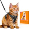 Halypet H600 Pro Cat Harness and Leash Set – Escape Proof 4th Gen Vest, Adjustable & Reflective for Safe Walks (Small, Black)