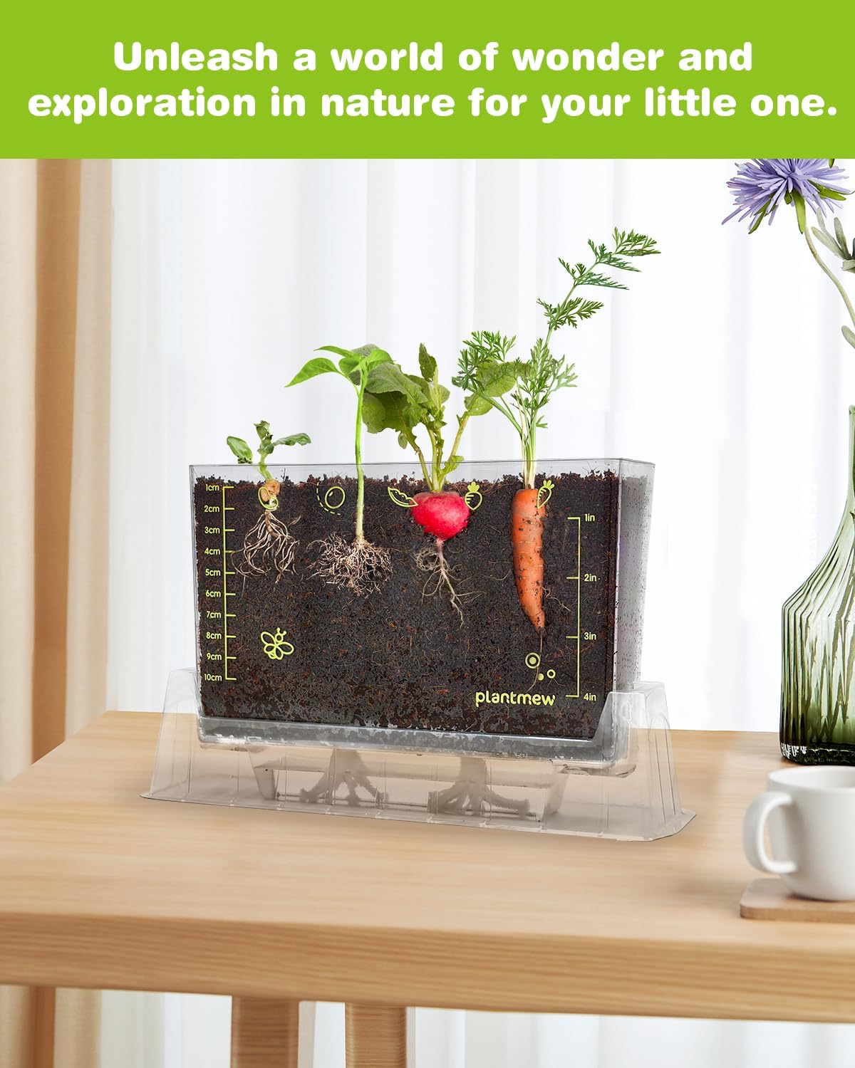 Root Viewer Garden Kit for Kids – STEM Botany Science Kit with 6 Seed Varieties, Transparent Planter & Educational Guide – Ideal Gifts for Boys & Girls Ages 5-12
