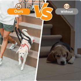 Adjustable Rear Leg Dog Lift Harness – Support Sling for Large Dogs with Arthritis, Hip Dysplasia, or Post-Surgery Recovery (Medium, Black)