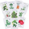 Sereniseed Certified Organic Vegetable Seeds 10-Pack – Heirloom & Non-GMO Garden Starter Kit with Basil, Tomato, Pepper & Lettuce