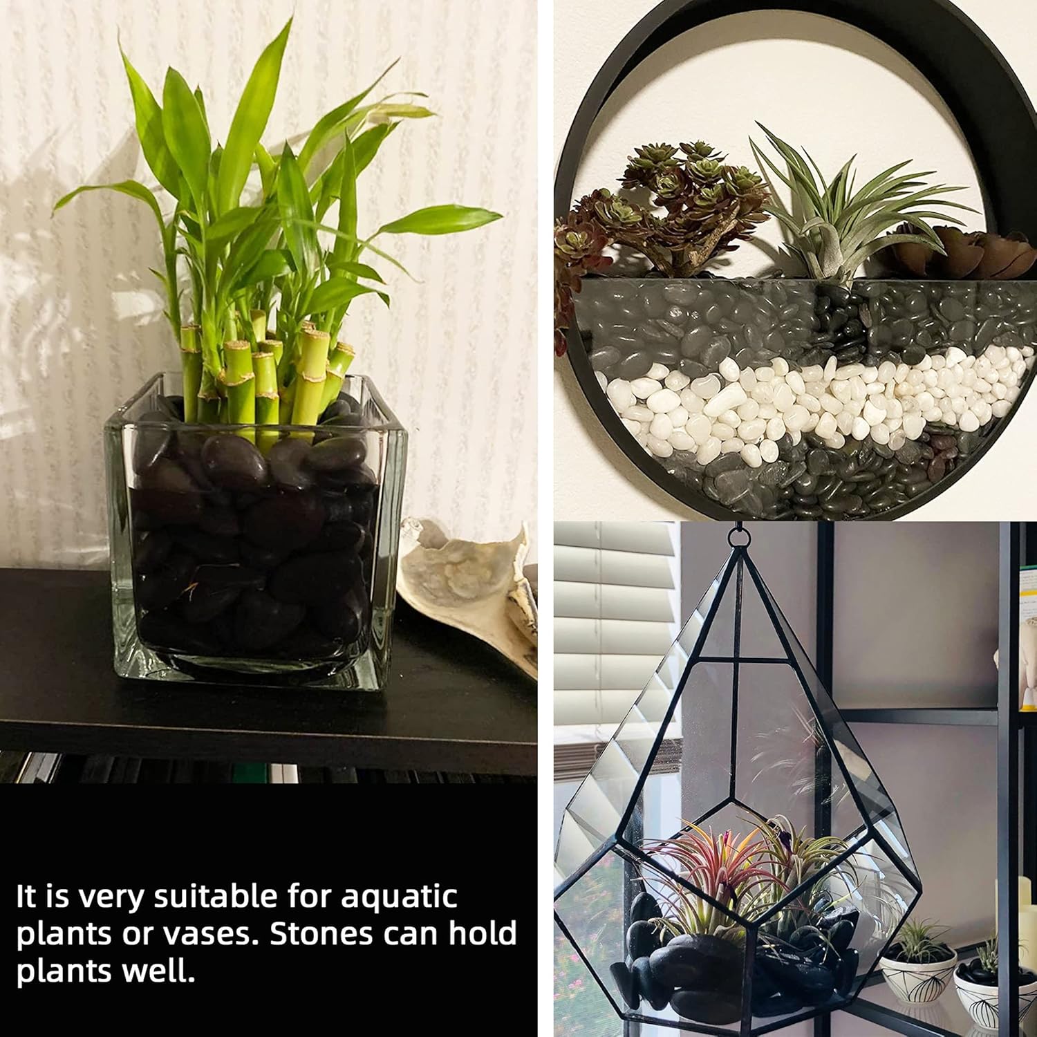 3lb Natural Black Polished Gravel – Decorative River Rocks for Succulents, Plants, & Aquariums