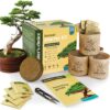 Bonsai Starter Kit for Beginners - Indoor & Outdoor DIY Tree Growing Kit with 4 Seed Types, Pots, Soil & Clippers - Unique Gardening Gift for Men & Women