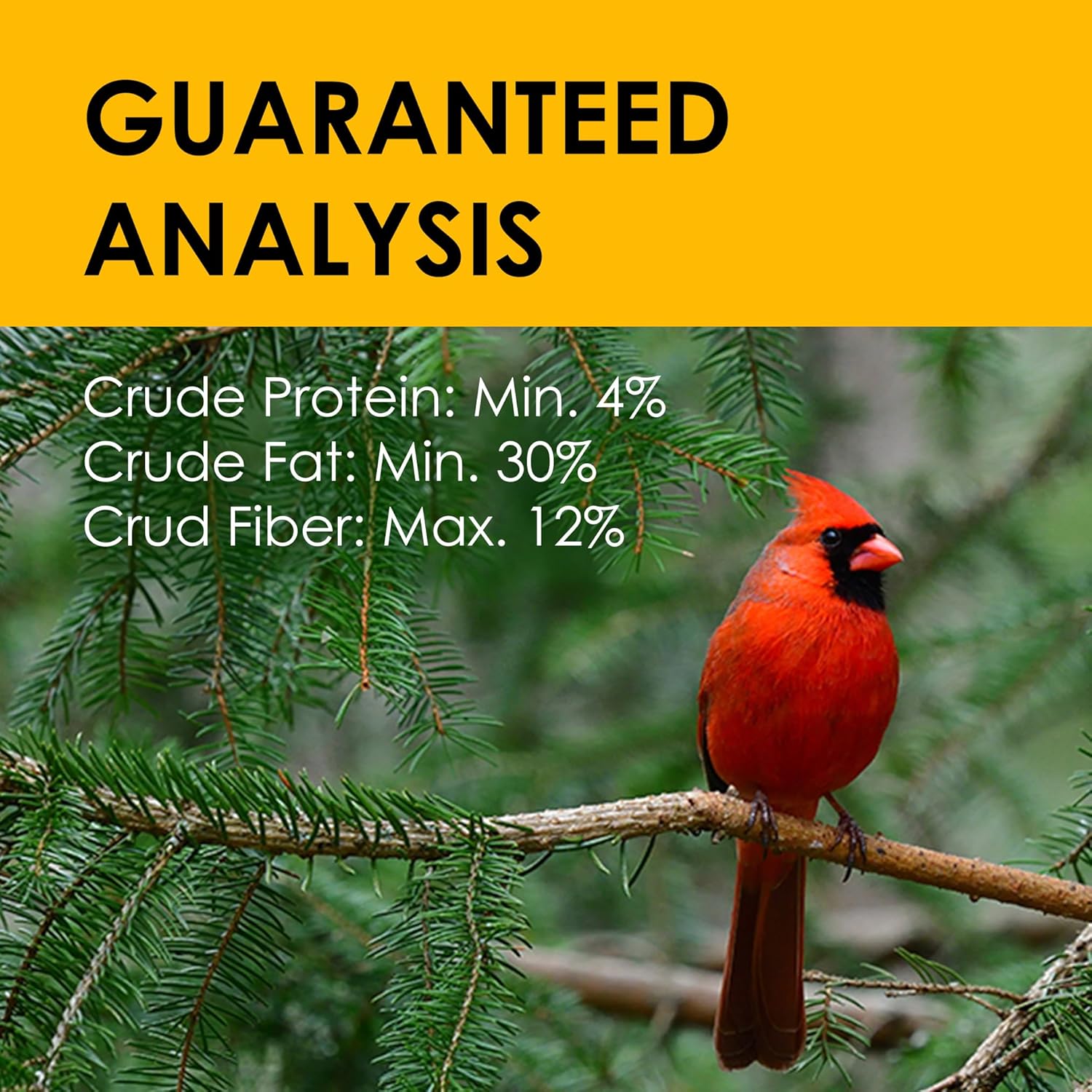 Heath Outdoor Products DD4-10 All-Season No-Melt High Energy Wild Bird Suet Cakes - Value 10 Pack