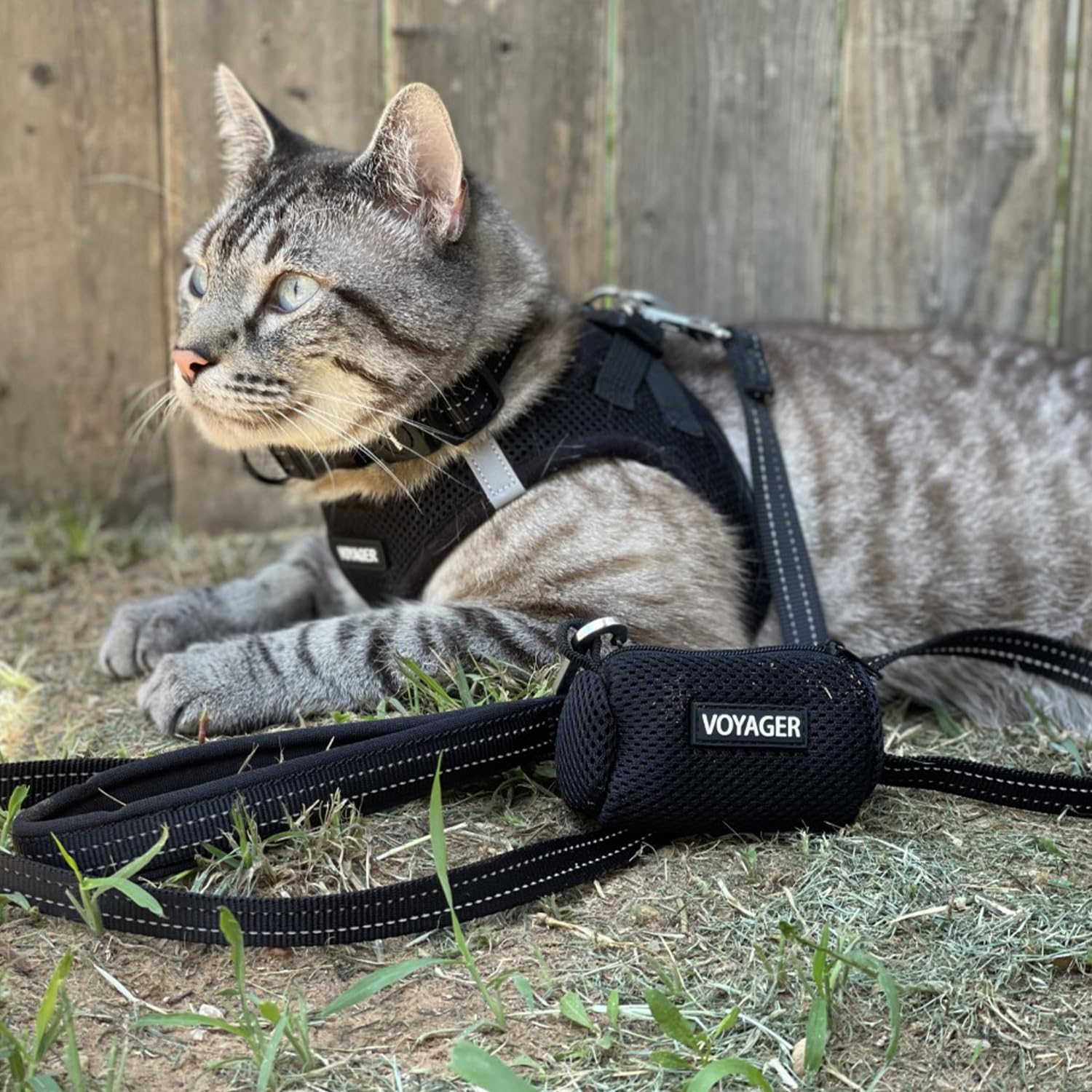 Voyager Step-In Air Dog & Cat Harness – All-Weather No Pull Mesh Vest with Reflective Bands – Black, Large