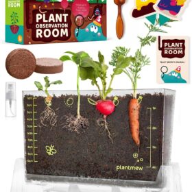 Root Viewer Garden Kit for Kids – STEM Botany Science Kit with 6 Seed Varieties, Transparent Planter & Educational Guide – Ideal Gifts for Boys & Girls Ages 5-12