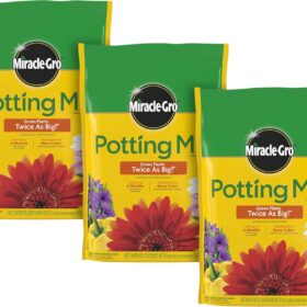 Miracle-Gro Potting Mix (3-Pack, 8 qt. ea.) | Premium Indoor & Outdoor Container Soil | Feeds Plants for Up to 6 Months | Enriched Formula for Flowers, Vegetables, & Herbs