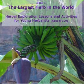 Herbs for Kids and Teachers: Book 1 - Introduction to Herbalism for Young Botanists (Ages 8-100)