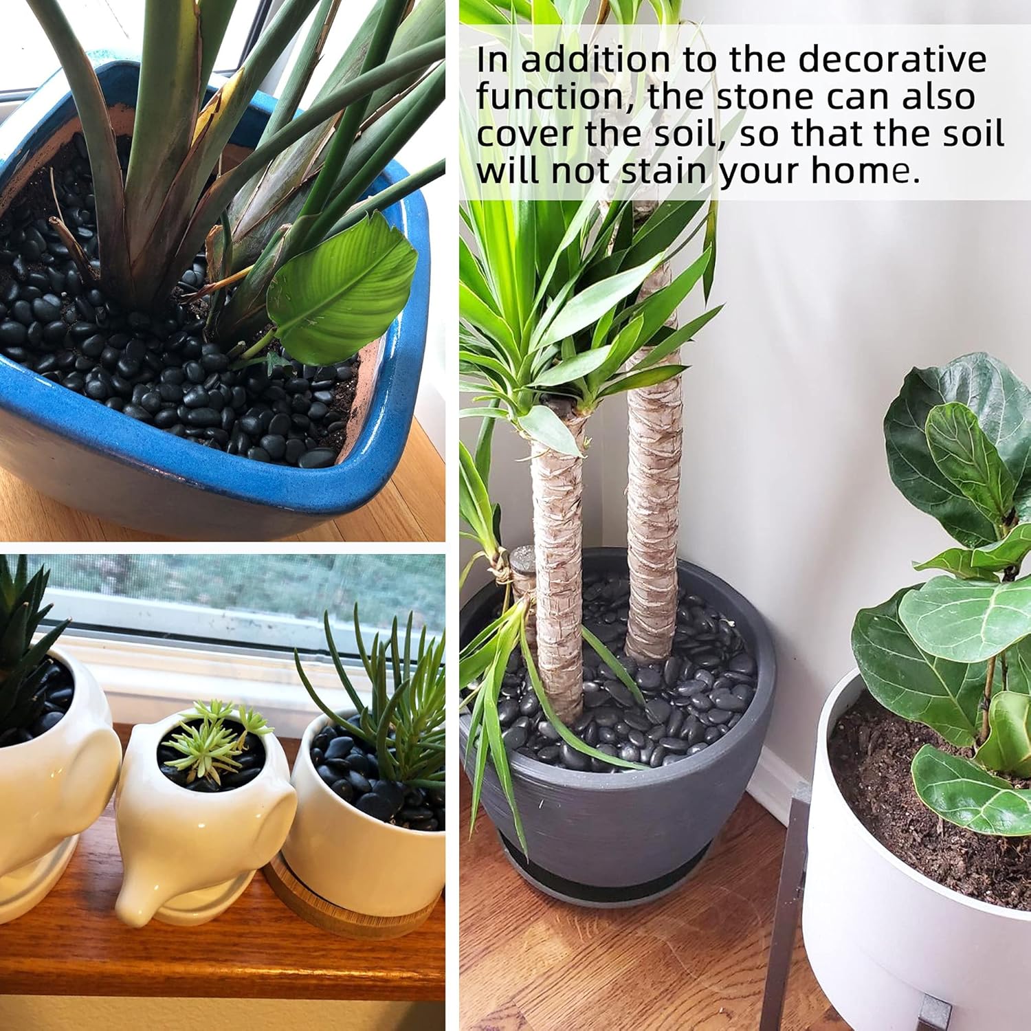 3lb Natural Black Polished Gravel – Decorative River Rocks for Succulents, Plants, & Aquariums