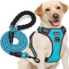 tobeDRI No-Pull Dog Harness with Heavy Duty Leash – Adjustable, Reflective Oxford Vest for Medium & Large Dogs – Easy On/Off & Choke-Free Walking