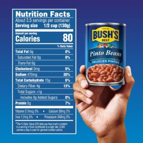BUSH'S BEST Canned Pinto Beans, 16 oz (Pack of 12) | Plant-Based Protein, Gluten Free, Low Fat, Pantry Essential for Chili, Salads & Soups