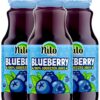 NILO 100% Wild Blueberry Juice – Pure, Not From Concentrate, No Sugar Added, 8.45 oz (Pack of 12)