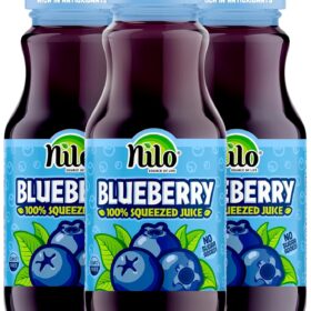 NILO 100% Wild Blueberry Juice – Pure, Not From Concentrate, No Sugar Added, 8.45 oz (Pack of 12)