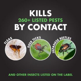 Spectracide Triazicide Insect Killer Concentrate - 40 oz, Covers Up to 6,400 sq. ft.