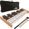 MiniArtis 27-Note Glockenspiel Xylophone – Full Size Percussion Instrument with 2 Octave Range (G2-A5), Includes Wooden & Plastic Mallets, Carrying Case & Color-Coded Metal Keys for Kids & Adults