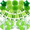 Recosis Green Birthday Party Decorations Kit – Wild One Safari Dinosaur Theme with Banner, Balloons, Pompoms & Swirls