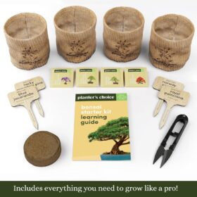Bonsai Starter Kit for Beginners - Grow 4 Unique Trees - DIY Gardening Gift Set with Seeds, Soil, Pots & Tools - Indoor & Outdoor Hobby Kit for Men & Women