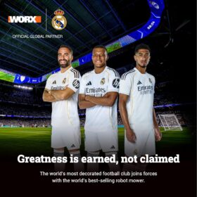 Worx ZipSnip 4V Cordless Electric Scissors & Box Cutter - Rechargeable Fabric & Cardboard Cutter with Auto-Sharpening Blade, Safety Lock, & Storage Bag (WX082L.2)