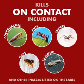 Spectracide Bug Stop Home Barrier Spray - Indoor/Outdoor Insect Killer for Ants, Roaches & Spiders, 1.33 Gallon Refill