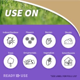 Bonide (BND983) - 32 Oz Insecticidal Soap Ready-to-Use Spray | Organic Garden Pest Control for Indoor Plants, Vegetables, Roses, & Flowers