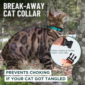 OutdoorBengal Heavy Duty Tactical Cat Collar with Breakaway Safety - Soft Padded, No Bell, Adjustable Neckwear for Medium to Large Cats (Black, Adult)
